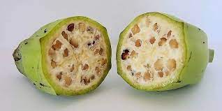 Ubat batuk herba, ubat batuk hurix, ubat batuk woods, petua merawat resdung yang paling berkesan dan mujarab via vitaminsaya.com. 3 Resep Herbal Buang Air Besar Berdarah Yang Gampang Dibuat Deherba Com