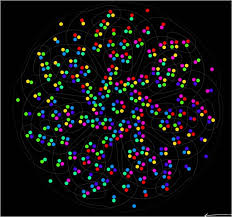 7 Way Venn Diagram Interactive 3 See Also B W Annotated 1 Http Pinterest Com Pin 175218241723867173 Colo Venn Diagram Color Psychology Diagram