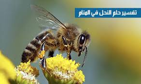 تفسير رؤية المخدرات في المنام بالتفصيل حشيش زطلة كوكايين هيرووين أفيون قنب هندي. Ø±Ø¤ÙŠØ© Ø§Ù„Ù†Ø­Ù„ ÙÙŠ Ø§Ù„Ù…Ù†Ø§Ù…