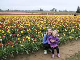 There, the wooden shoe tulip festival blossoms each spring, drawing thousands to come and see acres upon acres of tulips in full bloom. Tiptoe Over To The Wooden Shoe Tulip Fest