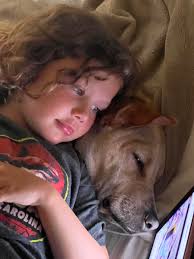 IceBlind (@carrieharlich)