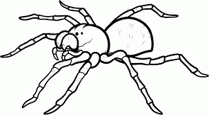 There is a whole variety of them too, so i am sure you will find just the one (or a dozen) for your needs and ages of kids. Spider Coloring Page Coloring Library