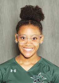 Preston named volleyball newcomer of the year in 26-4A