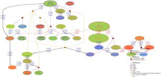 Colon cancer symptoms can be confusing. What Color Represent Colon Cancer