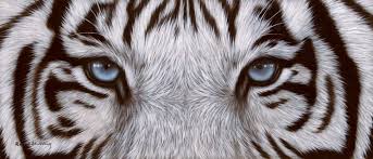 Black And White Tiger Picture Beautiful Black Art Painting Tiger Painting Eye Painting