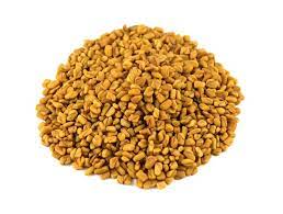 Fenugreek Seeds Fenugreek Savory Spice