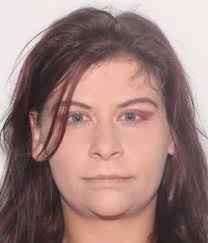 Robbery suspect nabbed after chase