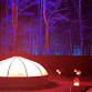 NightWood @ The Mount event image