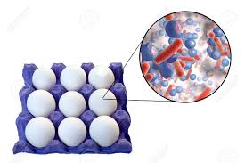 Monocytogenes appartient au genre listeria qui rassemble 4 autres espèces proches: Kontamination Von Eiern Mit Bakterien Medizinisches Konzept Zur Ubertragung Von Lebensmittelinfektionen Durch Eier Wie Salmonellose Listeriose Und Andere Abbildung 3d Lizenzfreie Fotos Bilder Und Stock Fotografie Image 97203653