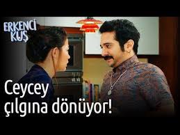 Erkenci Kus Ceycey Cilgina Donuyor Youtube