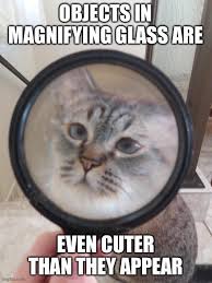 With tenor, maker of gif keyboard, add popular magnifying glass animated gifs to your conversations. A New Meme Template Meme Template Memes Cute