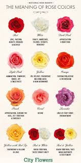 Roses Guide Roses Meaning Infographic Rose Color