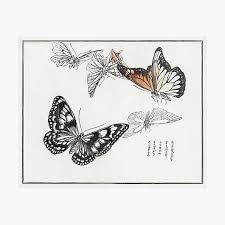 We did not find results for: Japanese Butterfly Wall Art Redbubble