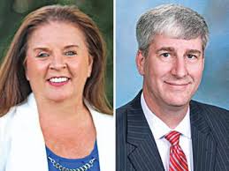 Summit County Council, District 1