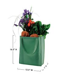 econscious ec8075 nonwoven grocery tote