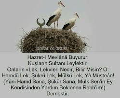 Guzel Sozler Hulya Adli Kullanicinin Aski Muhabbet Panosundaki Pin Bilgelik Guzel Soz Ozlu Sozler