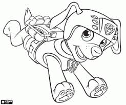 Ausmalbilder Der Labrador Hund Zuma Von Paw Patrol Zum Ausdrucken