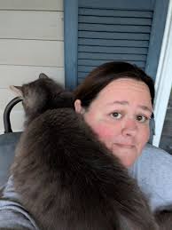 Found cat near I-88 off Polo Road in Rock Falls, Illinois