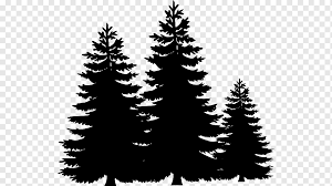 When designing a new logo you can be inspired by the visual logos found here. Pine Tree Fir Black Trees S Christmas Decoration Website Spruce Png Pngwing