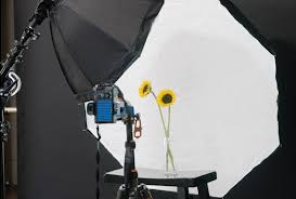 Photoshoot photography portrait photography studio photography photo aesthetic photography photo inspiration conceptual photography photography poses. 3 Flower Photography Setups Styles