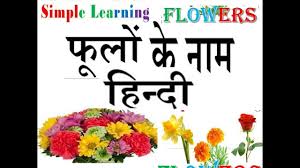 Flowers Name Chart English To Hindi
