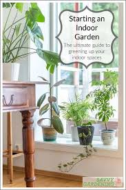 Starting An Indoor Garden Light Humidity And Other Factors Indoor Garden Vegetable Garden Design Creative Gardening