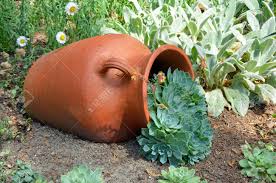 Hens who are raised primarily on pasture eat this type of diet most of the time. Clay Planter Filled With Hens And Chicks Cactus Plants Stock Photo Picture And Royalty Free Image Image 14646067