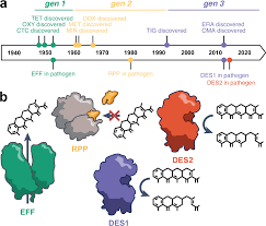 Image result for Tetracyclines