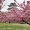 As the second largest park in osaka, the park is quite large and i did not even make it to osaka castle. Https Encrypted Tbn0 Gstatic Com Images Q Tbn And9gcthpidhnvus Lf67 Aga63kjhqyo9dupl4po61fmaequmdv1wmq Usqp Cau