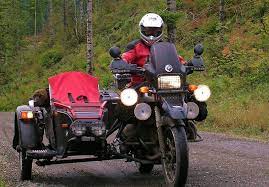Pin On Motorcycle Carrier