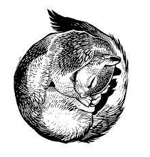 Versandkostenfrei ab 69 € kostenlose rücksendung sichere bestellung jetzt auf rechnung bestellen! Jlhirten Com This Website Is For Sale Jlhirten Resources And Information Zeichnungen Tiere Zeichnung Tierillustrationen