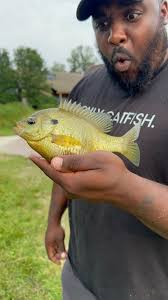 When the math is mathing! 🎣💯