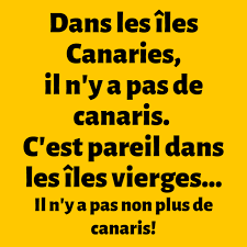 The d&eacute;lire | Facebook