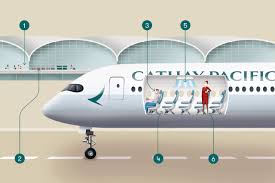 Cathay pacific singapore cabin crew. Fly Confidently With Cathay Care Cathay Pacific