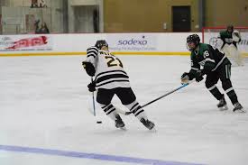 Image result for Emilia hockii