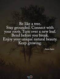 Be Like A Tree Stay Grounded Connect With Your Roots Turn Over A New Leaf Bend Before Your Break Enjoy Your Unique Life Quotes Positive Quotes Best Quotes