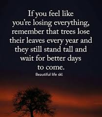 Pin By Beautiful Life Skl On Beautiful Life S K L English Quotes How Are You Feeling English Quotes Life Is Beautiful