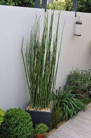 Check spelling or type a new query. Amenagement Exterieur Et Decoration De Terrasse
