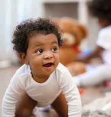 Cultivating a Landscape for Learning