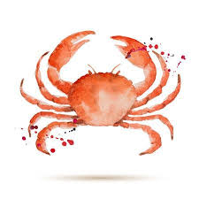 Crabe Aquarelle Des Fruits De Mer Frais Biologiques Vector Illustration Crabe Dessin Peinture De Crabe Illustration
