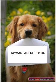 Hayvanlari Koruyun Renkli Afis Hayvan Duzenleme