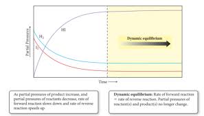 Apr 28, 2013 · gelmis gecmis en guzel arka kapak yazilarindan birine * sahip roman: How To Find Reaction Quotient With Partial Pressure