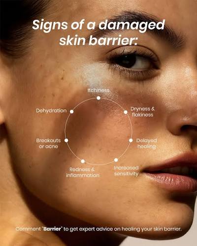 Facial skincare products for a gentle routine when skin feels dry or uncomfortable