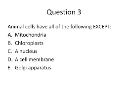 Check spelling or type a new query. The Wonderful World Of Cells Ppt Download