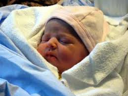 Stephan Research Group