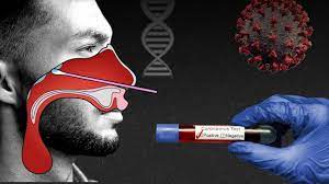 Zwei tote, mehrere verletzte 27.07.2021. Coronavirus Tests How They Work And What They Show World News The Guardian