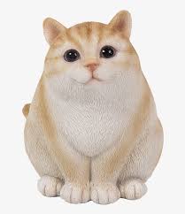 Kitty, cat, kitten, domestic cat, animal, pets, flowers, curious, playful, cute, adorable public domain Cute Kitty Cats Cat Transparent Png 1000x1000 Free Download On Nicepng