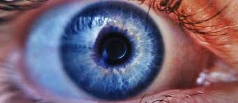 Image result for glaucoma