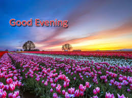 You can download the pictures. Good Evening From The Flowers Field Nature Ecard The Best Greeting Card For You