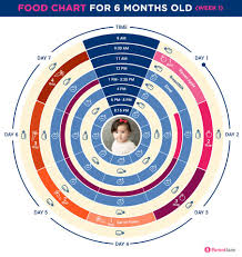 curious nine month baby food chart in hindi baby food chart